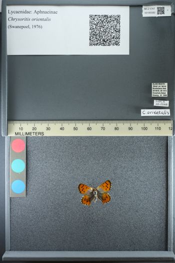 Media type: image;   Entomology 185582